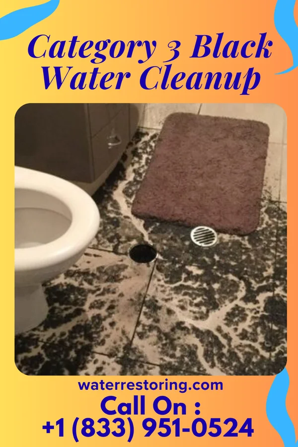 Category 3 Black Water Cleanup in Wharton, OH
