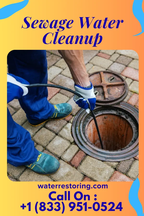 Sewage Water Cleanup in Wharton, OH